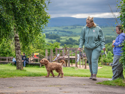 An image of a with it's owner walking inside Cantref Adventure Farm, with the stunning Brecon view in the background.