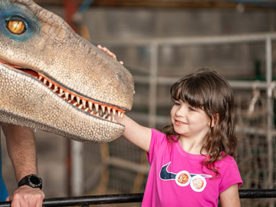 An image of a girl stroking Blue the velociraptor at Cantref Adventure Farm's dino meet and greet.